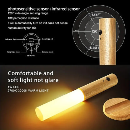 Rechargeable Induction Corridor Wall Light