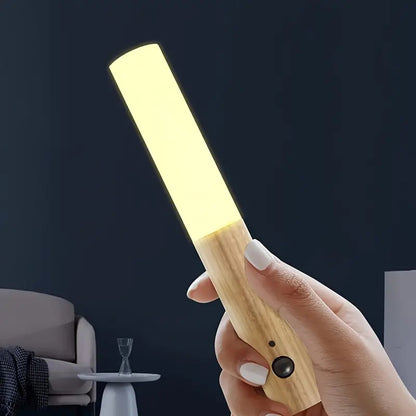 Rechargeable Induction Corridor Wall Light